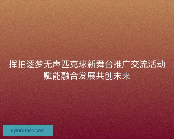 挥拍逐梦无声匹克球新舞台推广交流活动赋能融合发展共创未来
